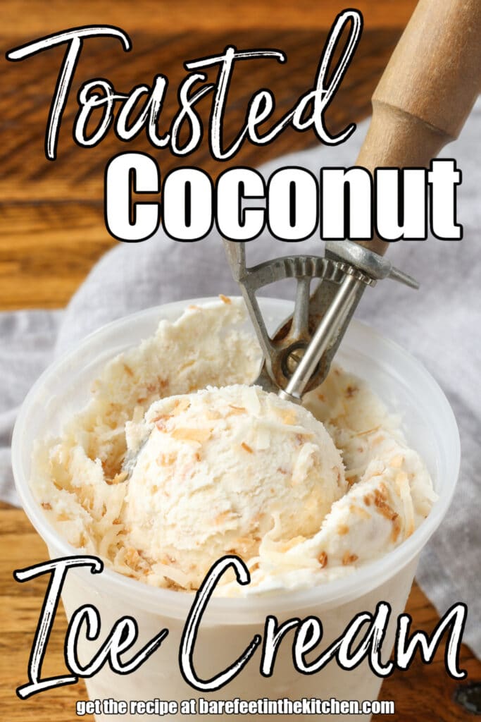 close up of a scoop of ice cream topped with coconut shreds