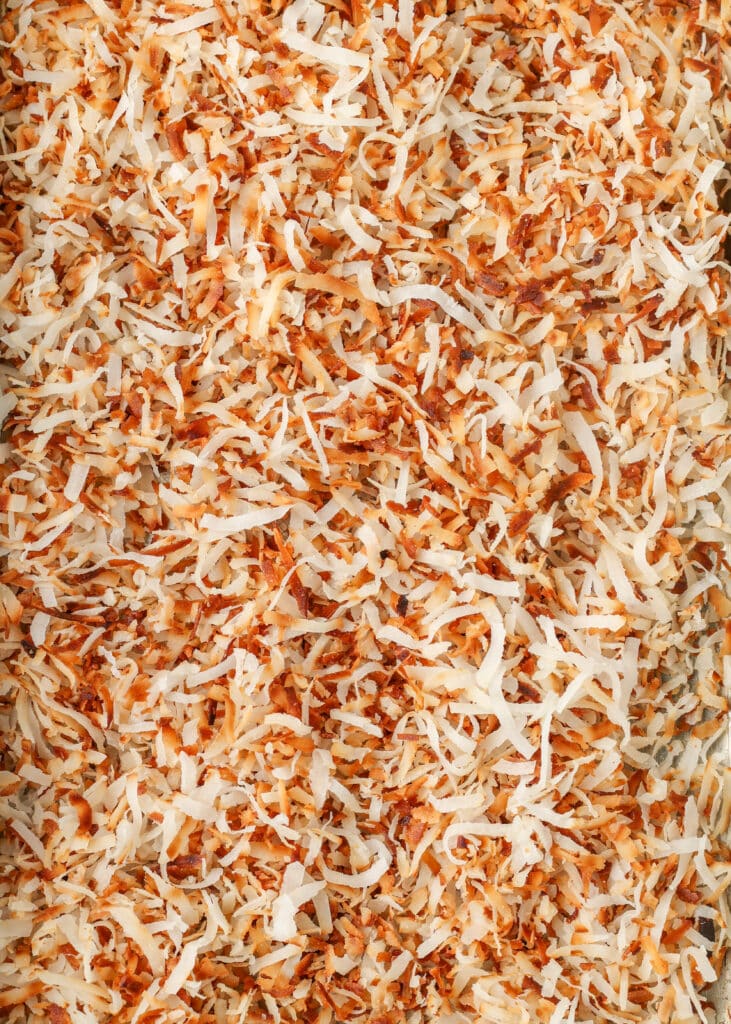 close up of toasted coconut