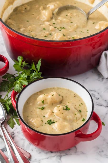 Chicken and Dumplings