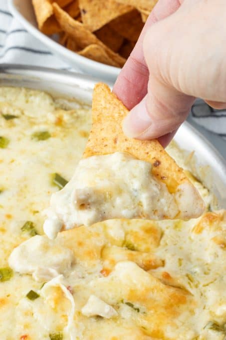 Chicken Enchilada Dip