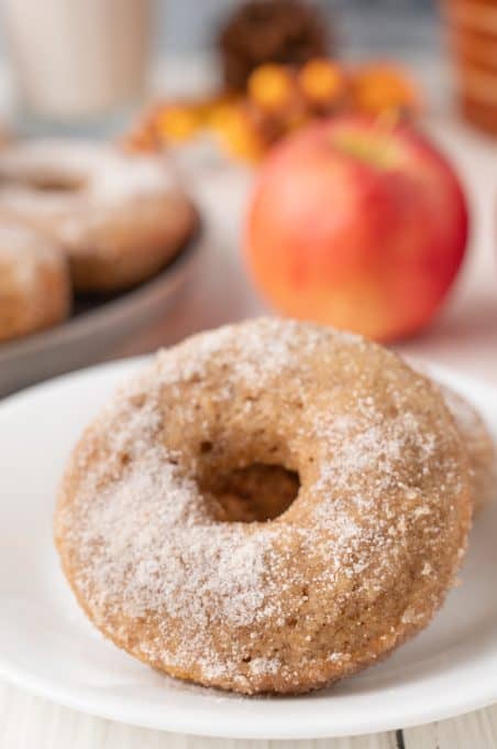 Cinnamon Sugar coating on apple donuts.