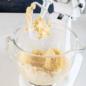 Sucree dough in mixer