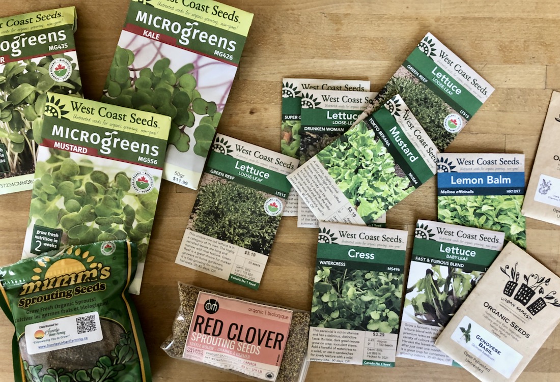 Indoor Gardening