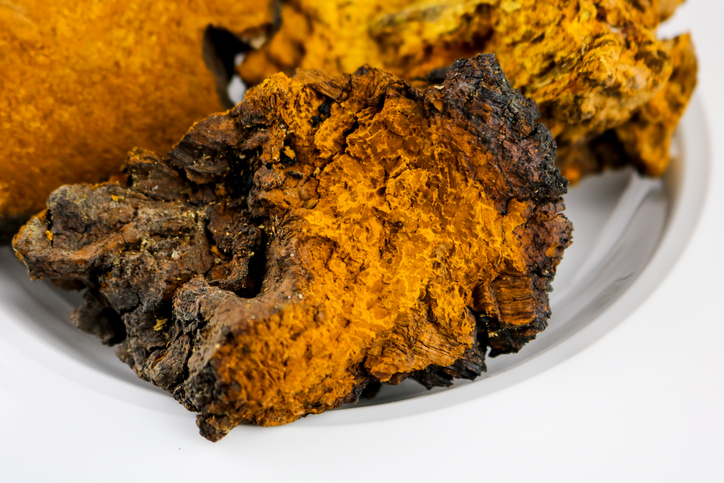 Chaga Mushrooms - ingredients to try
