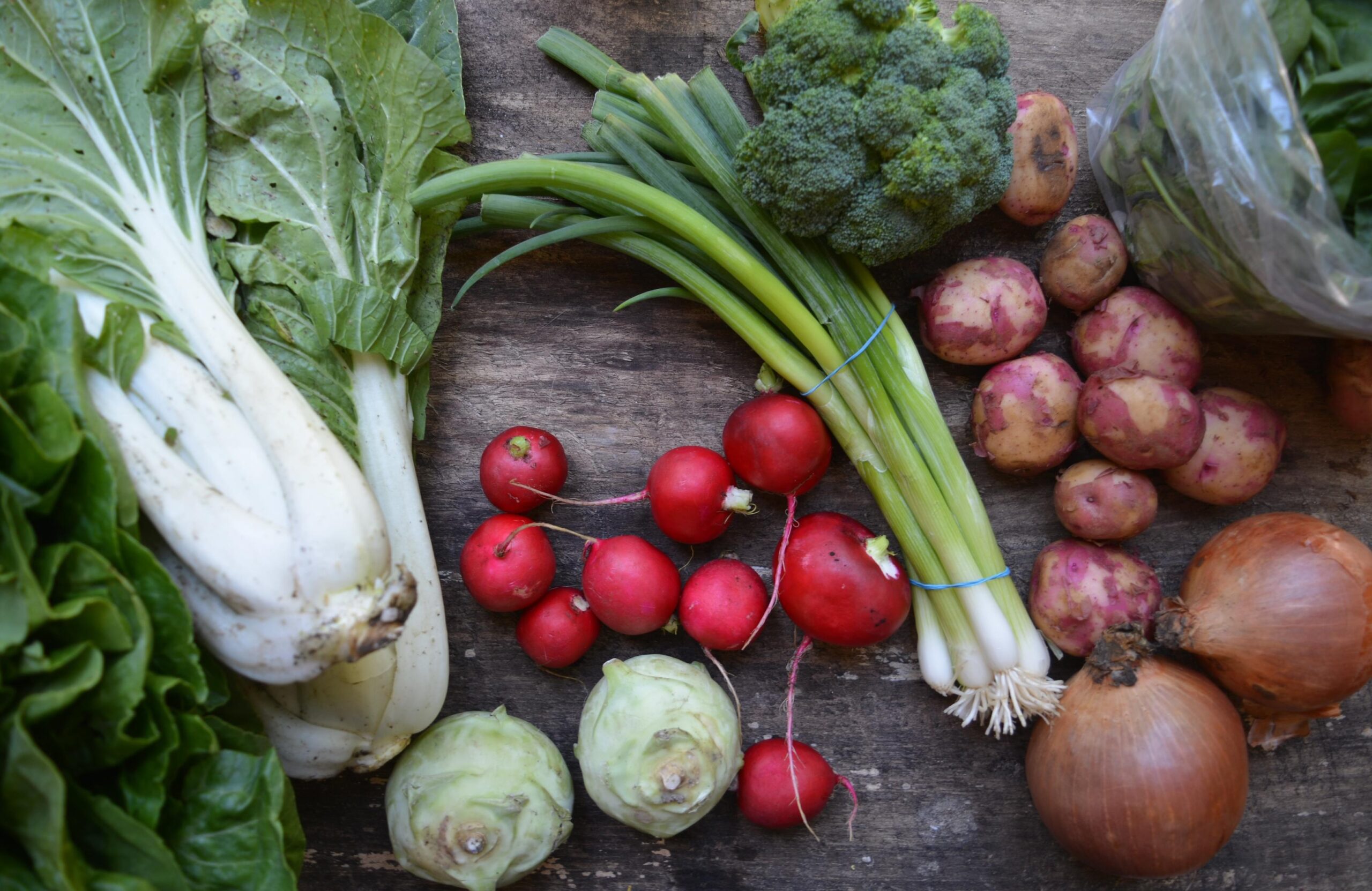 culinary nutrition terms