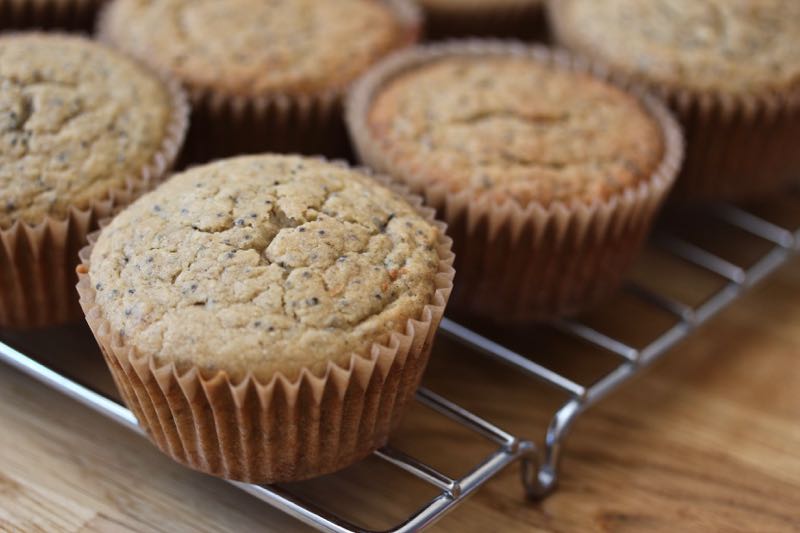 lemon poppyseed muffin