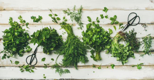 Fresh Herbs
