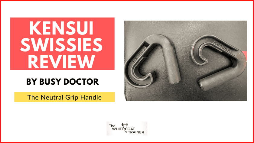 kensui swissies review cover image
