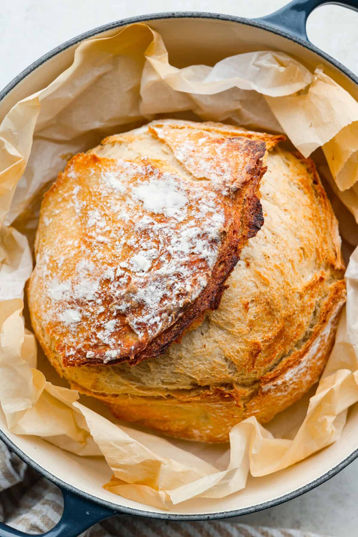 Overhead shot of completely cooked artisan bread in a dutch oven surrounded by parchment paper.
