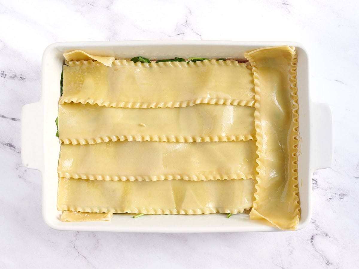 Cooked lasagna noodles added to casserole dish.