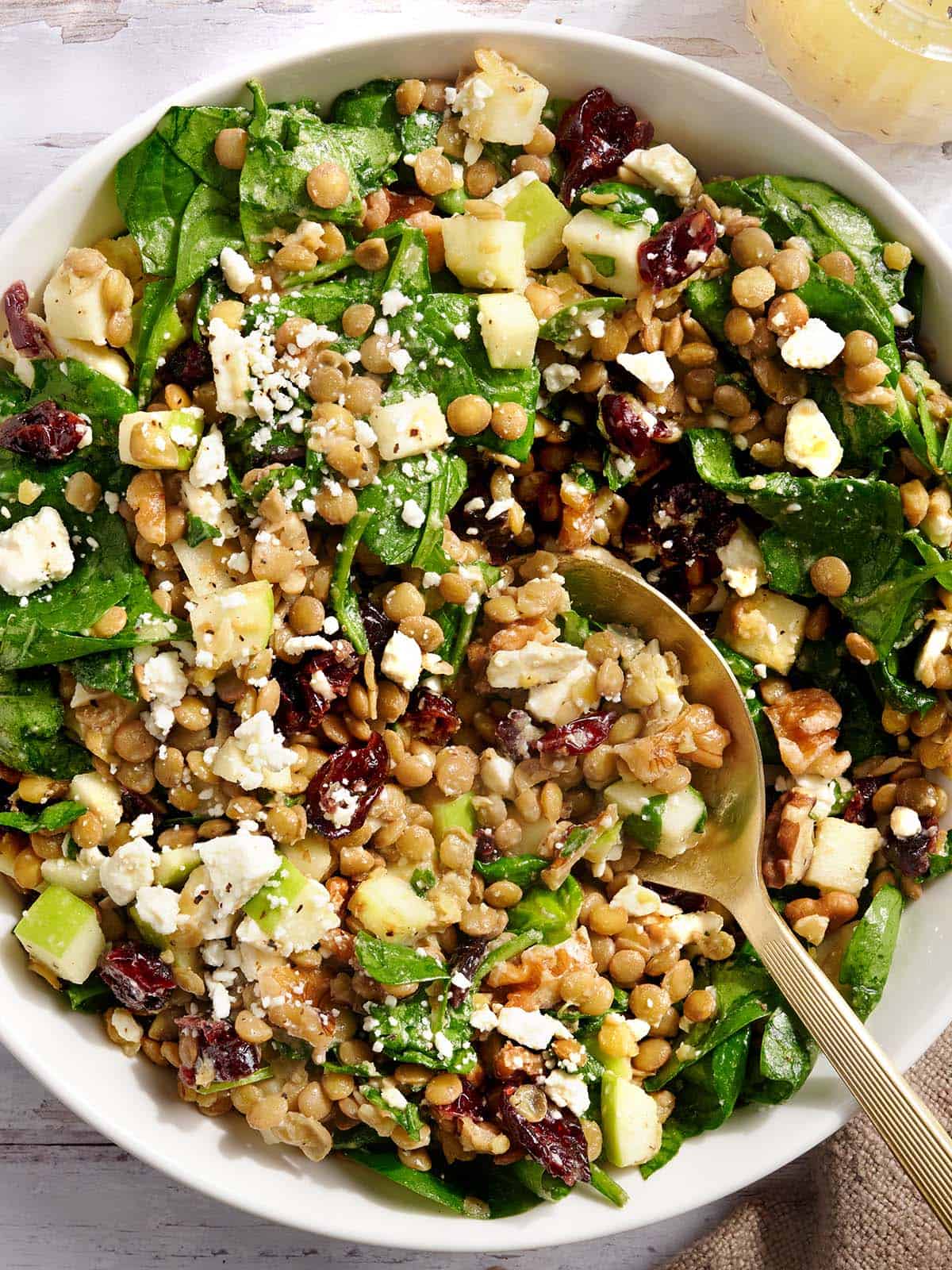 Overhead view on a cranberry and lentil salad in a bowl with a spoon.