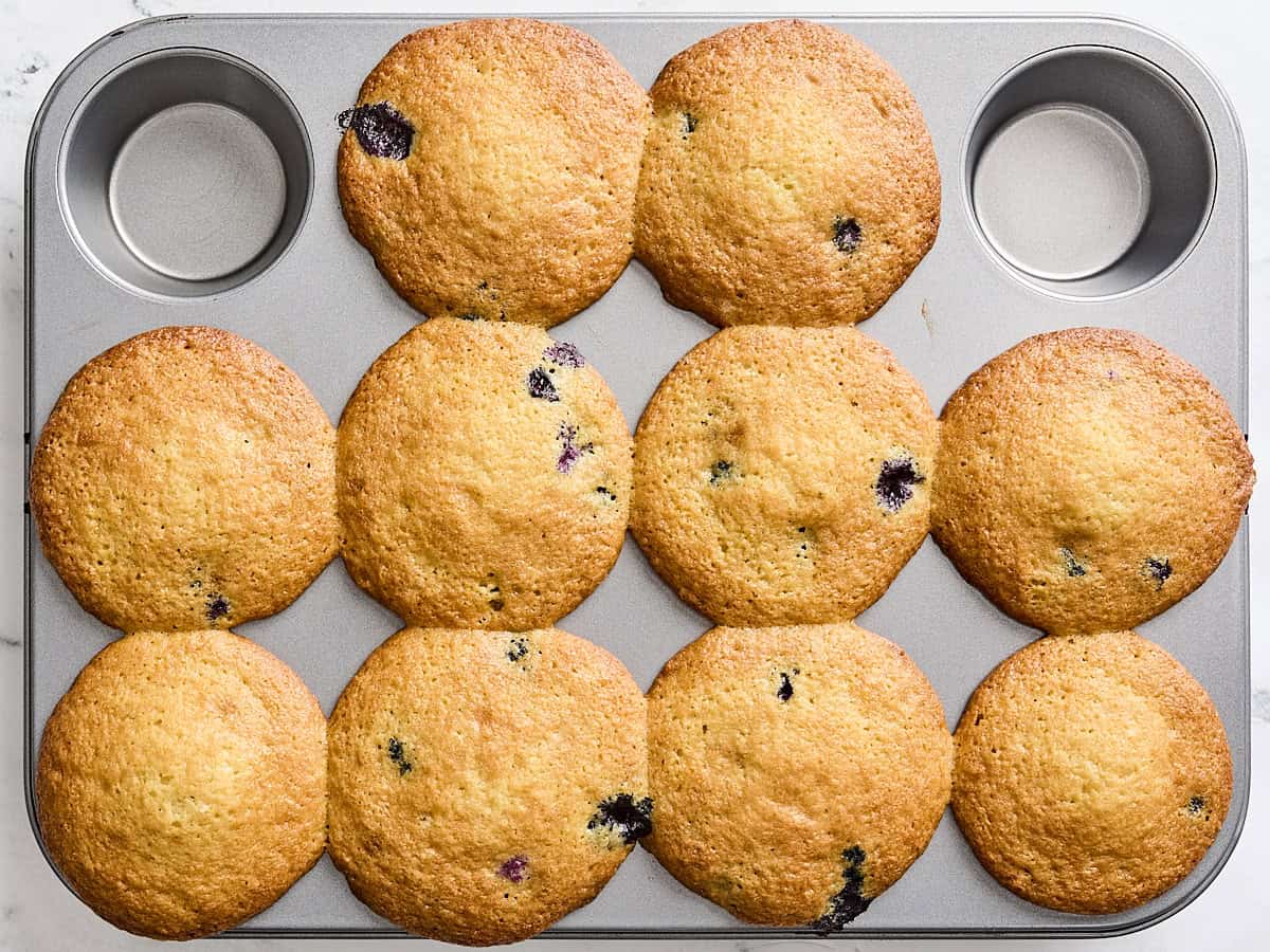 Freshly baked lemon blueberry muffins in a muffin pan.