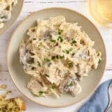 Overhead view of crockpot chicken tetrazzini on a plate.